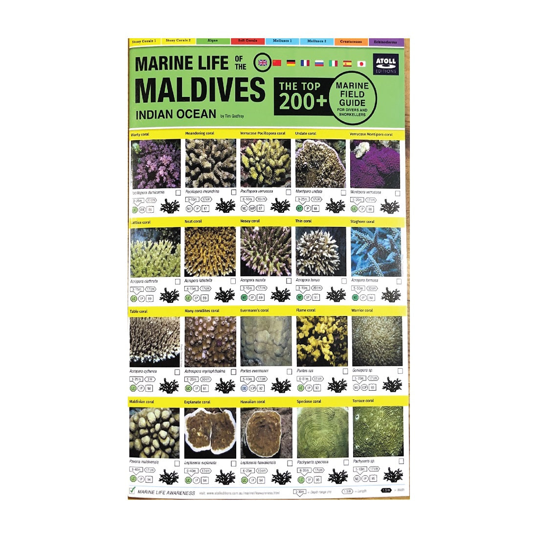 MARINE LIFE FIELD GUIDE