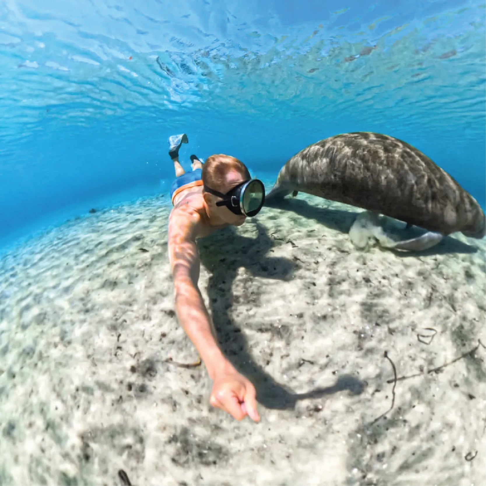 X5 Invisible Dive Case