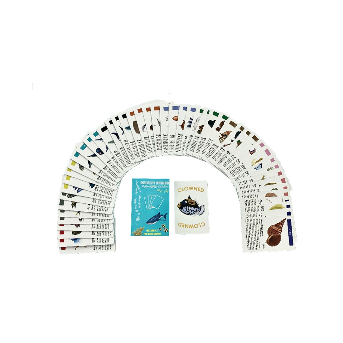 MARINE ANIMALS CARD GAME