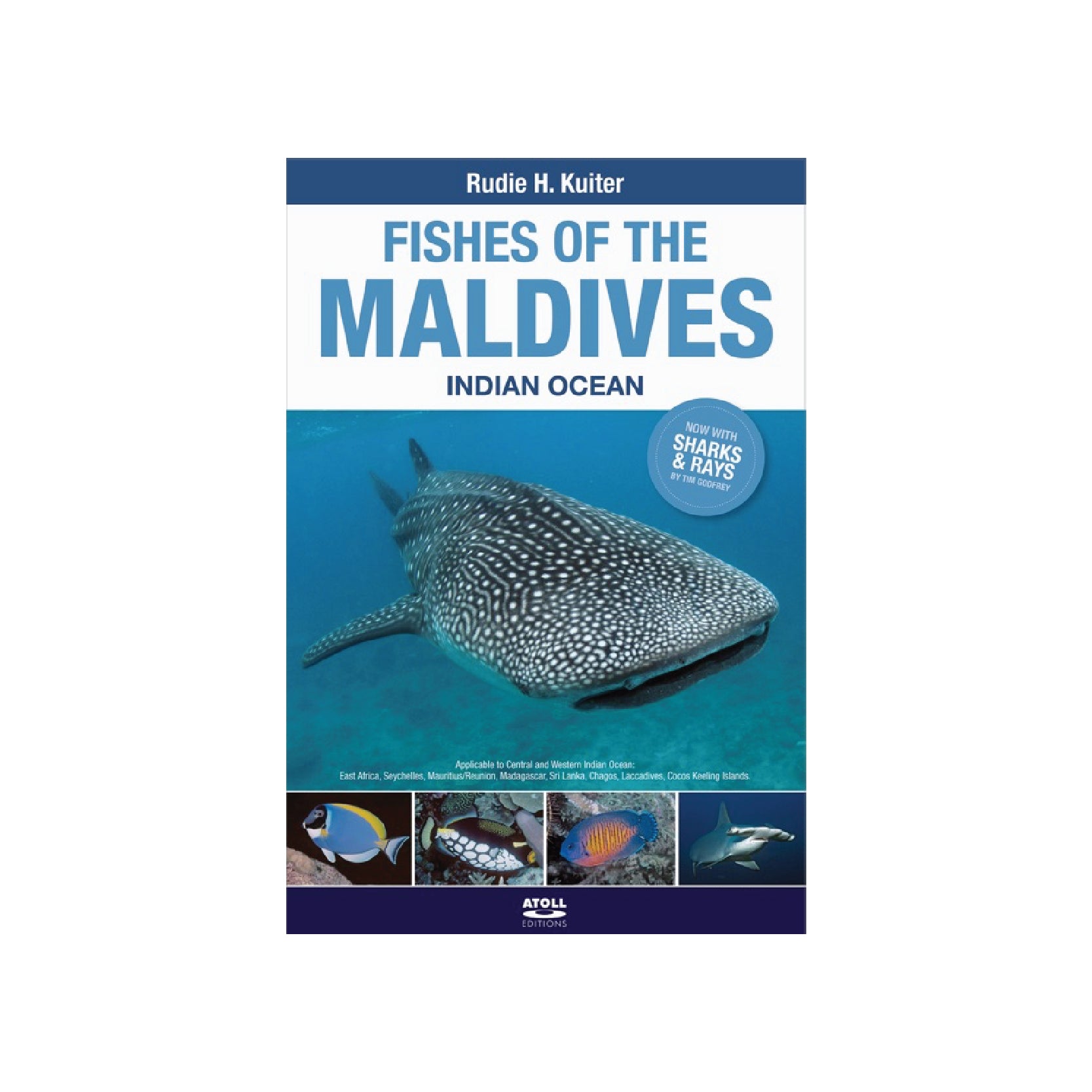 Fishes of the Maldives Indian Ocean